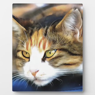 Placa Expositora Retrato de Mascota realista de gato de calico amar