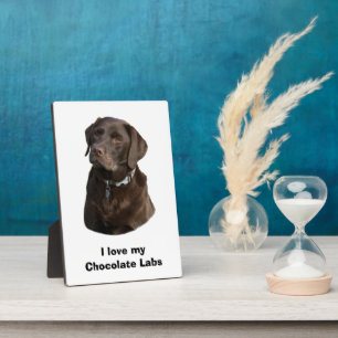 Placa Expositora Retrato fotográfico de perro Labrador de chocolate