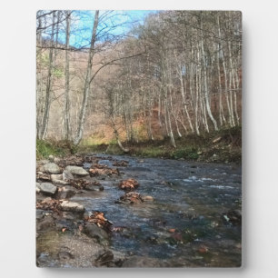 Placa Expositora Río de Montaña en Otoño – Naturaleza Salvaje Ruman