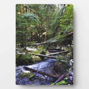 Placa Expositora Río Little Zigzag, OR