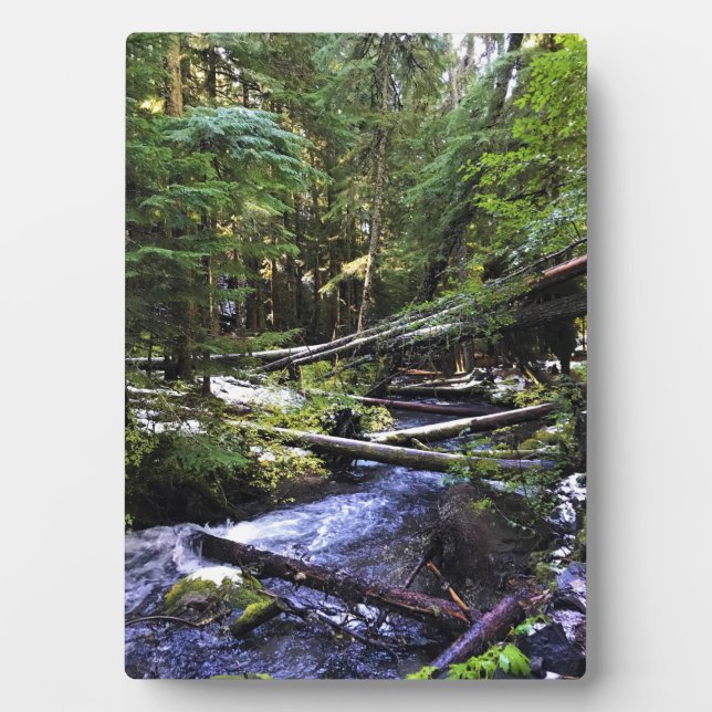 Placa Expositora Río Little Zigzag, OR (Frente)