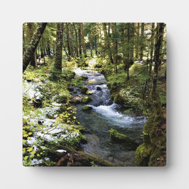 Placa Expositora Río Little Zigzag, Oregón (Frente)