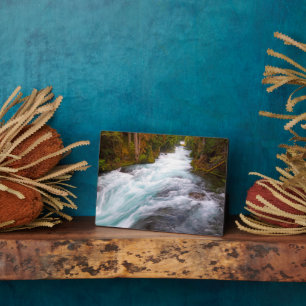 Placa Expositora Río McKenzie   Oregón