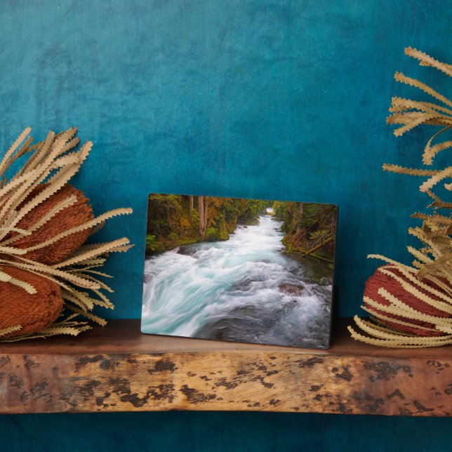 Placa Expositora Río McKenzie | Oregón (Lado)