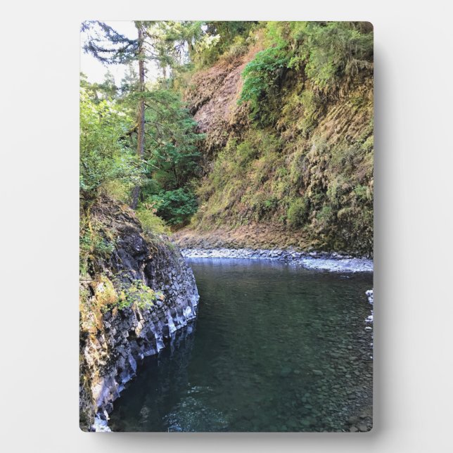 Placa Expositora Río Molalla, OR (Frente)