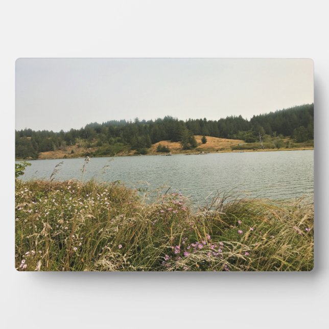 Placa Expositora Río Sixes, OR (Frente)