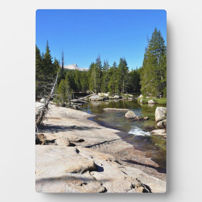 Placa Expositora Río Tuolumne con pico de catedral, Yosemite, CA (Frente)