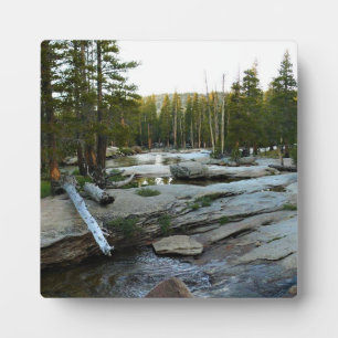 Placa Expositora Río Tuolumne por Campground, Yosemite, CA