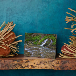 Placa Expositora Río Virgin de las Grandes Primas   Parque nacional