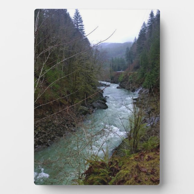 Placa Expositora Río Wilson, OR (Frente)