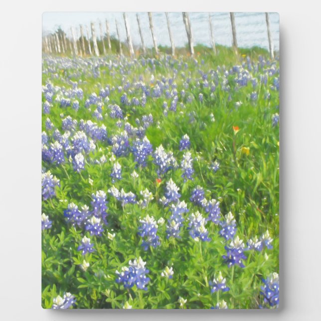 Placa Expositora Roadside Bluebonnets (Frente)