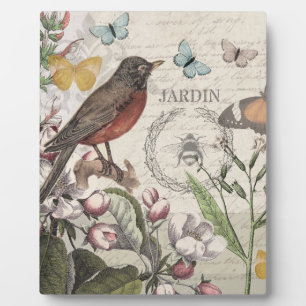 Placa Expositora Robin Elegant Bird Butterfly Arte Francés