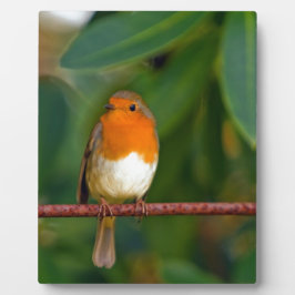 Placa Expositora Robin navidades