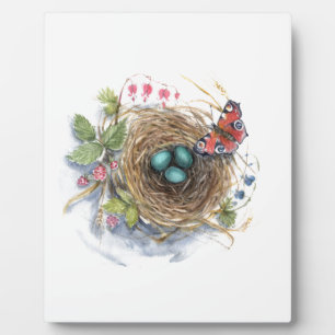 Placa Expositora Robin Nest