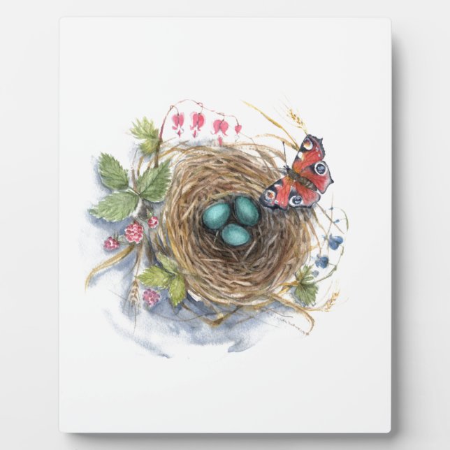 Placa Expositora Robin Nest (Frente)