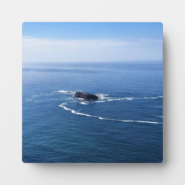 Placa Expositora Roca Otter, Cabo Foulweather, Newport, Oregón (Frente)