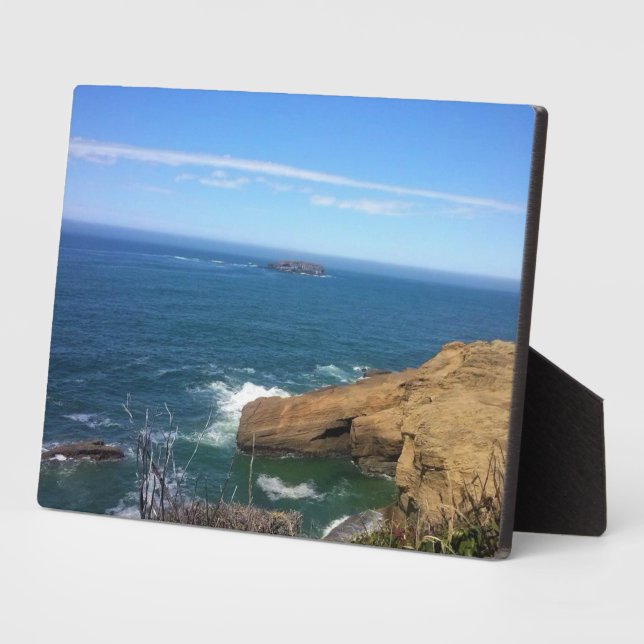 Placa Expositora Roca Otter, Costa Oregon (Lado)