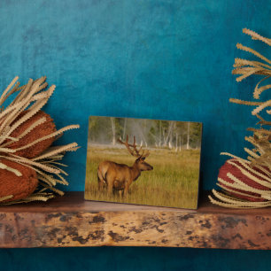 Placa Expositora Rocky Mountain Elk   Parque nacional Yellowstone