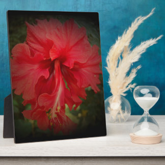 Placa Expositora Rojo real