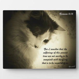 Placa Expositora Romanos 8:18