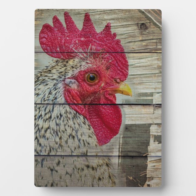 Placa Expositora Rooster Rustic Chicken Coop Barn Board (Frente)