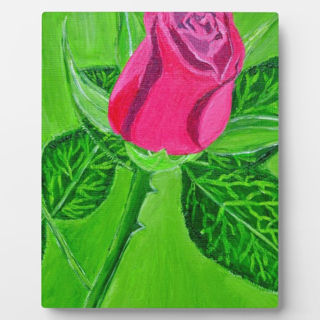 Placa Expositora Rosa 1a (Frente)