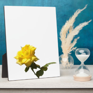 Placa Expositora Rosa amarilla