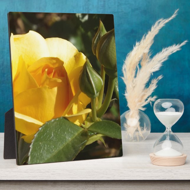 Placa Expositora Rosa amarilla (Lado)