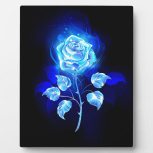 Placa Expositora Rosa Azul Ardiente