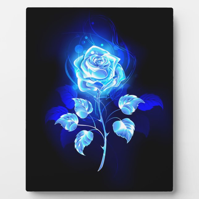 Placa Expositora Rosa Azul Ardiente (Frente)