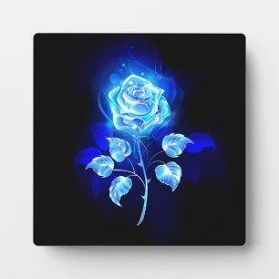 Placa Expositora Rosa azul en llamas