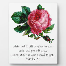 Placa Expositora Rosa de col