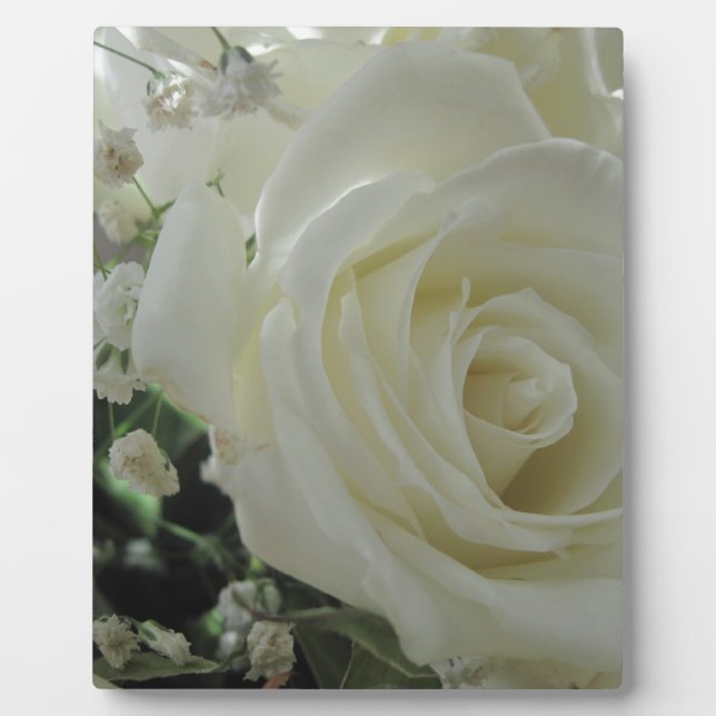 Placa Expositora Rosa Floral (Frente)
