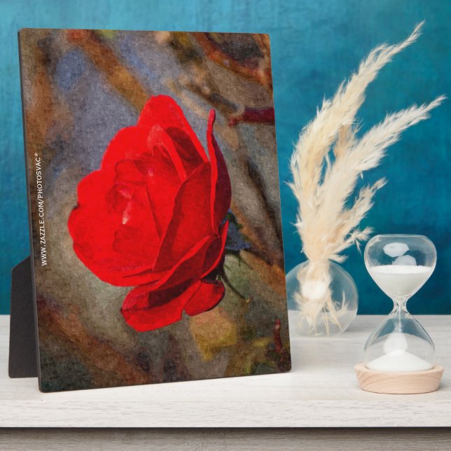 Placa Expositora Rosa Roja (Lado)