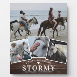 Placa Expositora Rústico Mascota Caballo 4 Collage de fotos y Monum