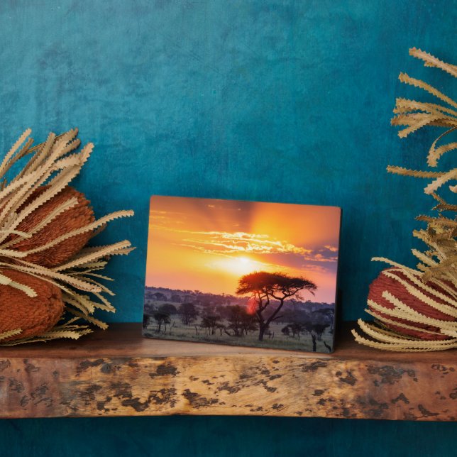 Placa Expositora Safari en el Parque Nacional Serengeti (Lado)