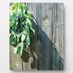Placa Expositora Sage Barn-wood de corte fresco