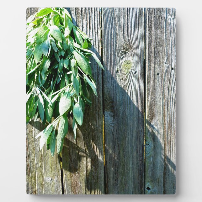 Placa Expositora Sage Barn-wood de corte fresco (Frente)