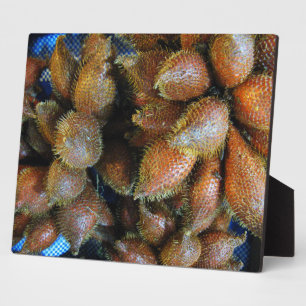Placa Expositora Salak [Fruta de la serpiente]