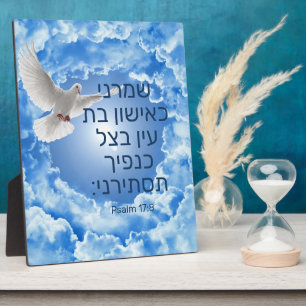 Placa Expositora Saldo 17:8