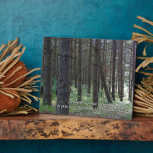 Salmos 96:12 Inspiradores