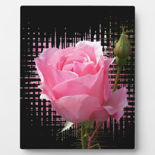 Placa Expositora salpicadura rosa rosada
