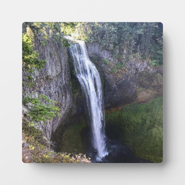 Placa Expositora Salt Creek Falls, OR (Frente)