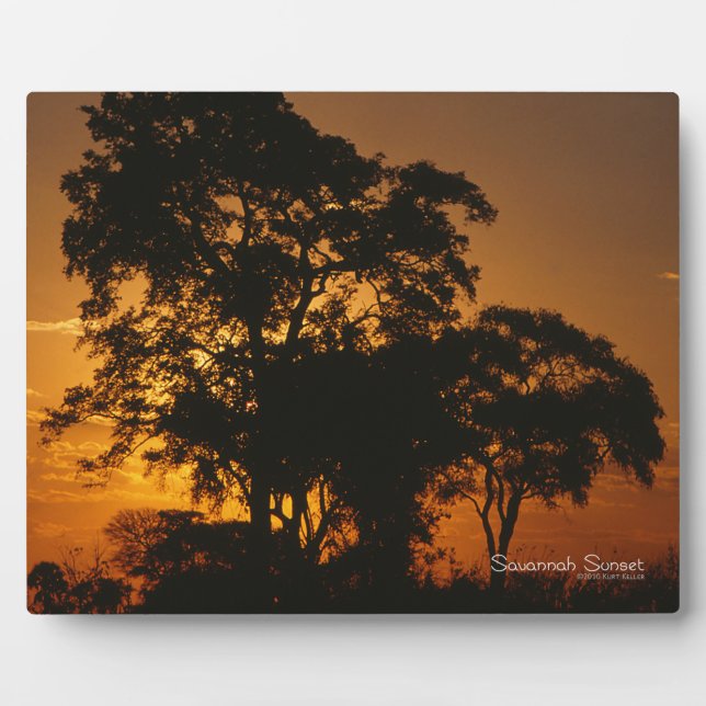 Placa Expositora Savannah Sunset (Frente)