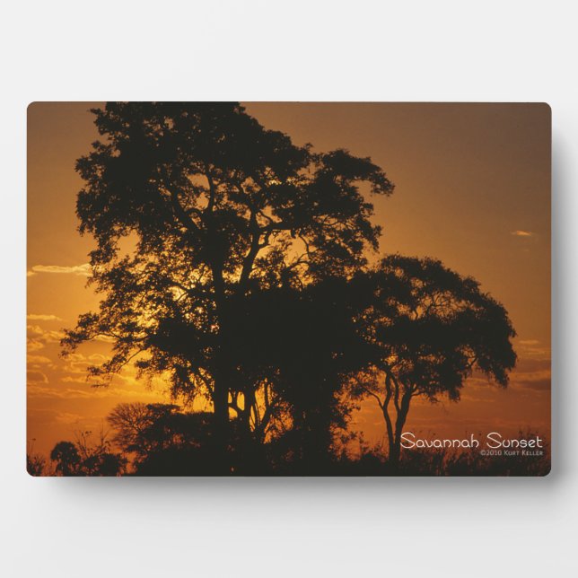 Placa Expositora Savannah Sunset (Frente)