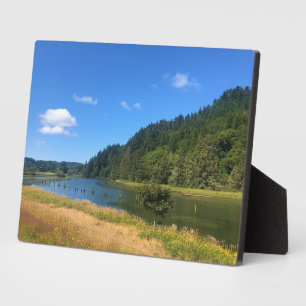 Placa Expositora Scholfield Creek, Reedsport, Oregón