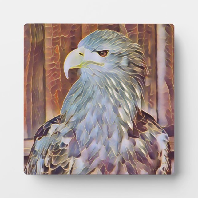 PLACA EXPOSITORA SEA EAGLE (Frente)