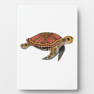 Placa Expositora Sea Turtle Totem Animal
