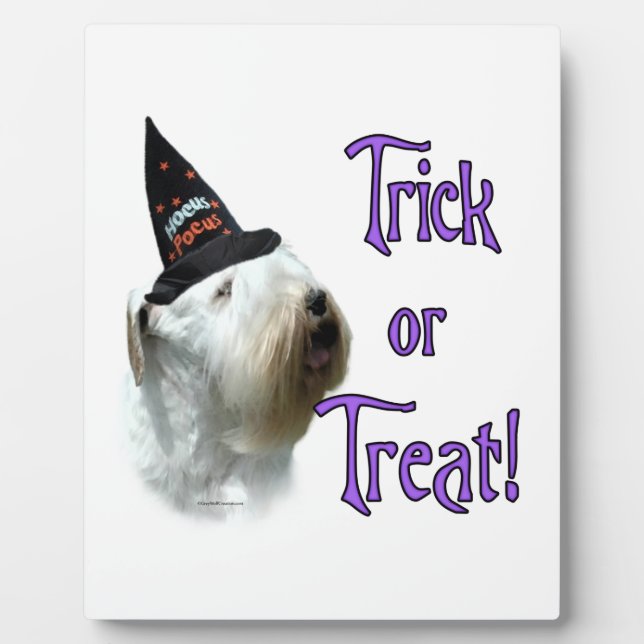 Placa Expositora Sealyham Terrier Trick o Trek (Frente)