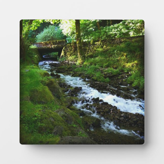 Placa Expositora Segunda vuelta de las cataratas Wahkeena, OR (Frente)